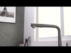 Robinet déroulant de cuisine de pulvérisateur de la Simple-poignée SUS304 avec deux la fonction Sprayhead