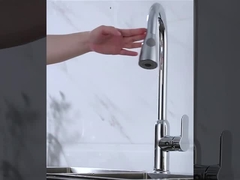 Robinet déroulant de cuisine de pulvérisateur de Simple-poignée en laiton avec Sprayhead à triple fonction dans Chrome