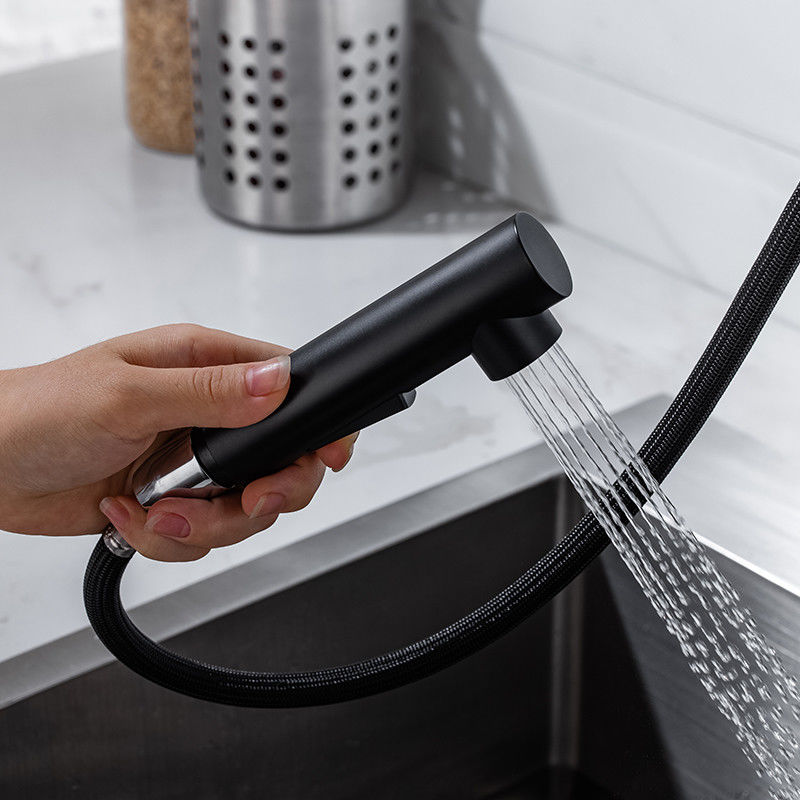 La traction d'or d'appartement de villa en bas du robinet de cuisine avec du nickel de Chrome abaissent le mélangeur d'évier